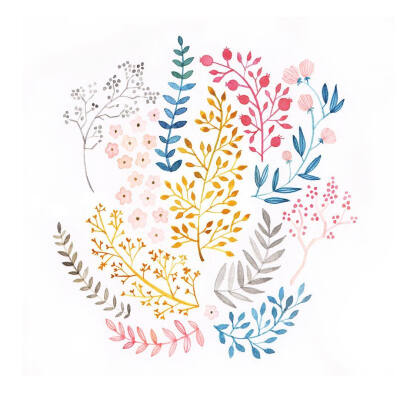清新简笔画植物树叶手账素材插画 ‖ ins:archerandolive
