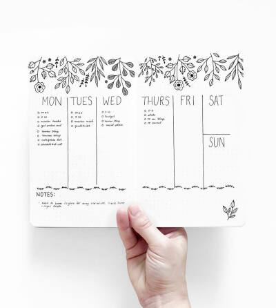 清新简笔画植物树叶手账素材插画 ‖ ins:archerandolive