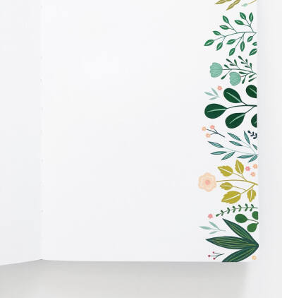 清新简笔画植物树叶手账素材插画 ‖ ins:archerandolive