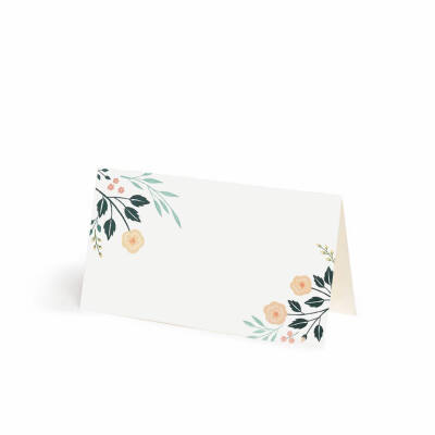 清新简笔画植物树叶手账素材插画 ‖ ins:archerandolive