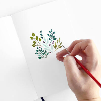 清新简笔画植物树叶手账素材插画 ‖ ins:archerandolive