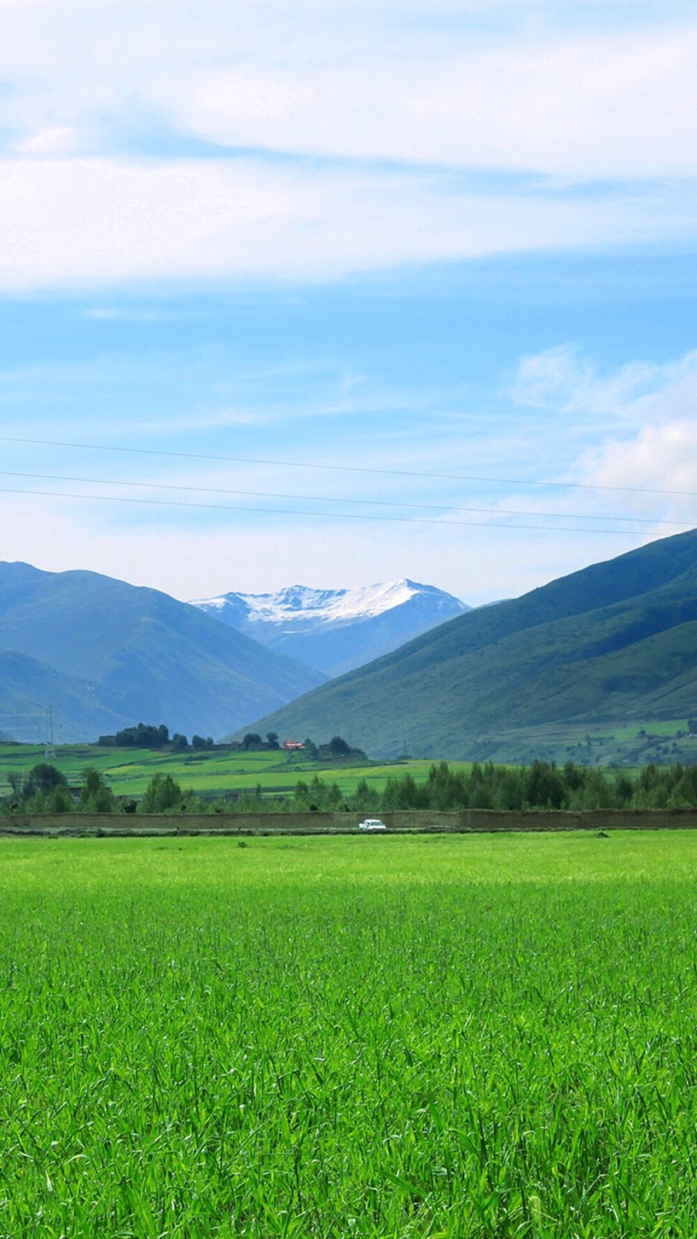 关注2017年11月16日 16:57青青藤蔓