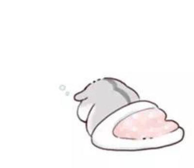 hamham仓鼠原图