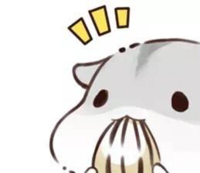 hamham仓鼠萌翻你