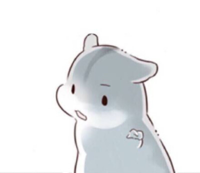hamham仓鼠萌翻你