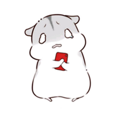 hamham仓鼠萌翻你