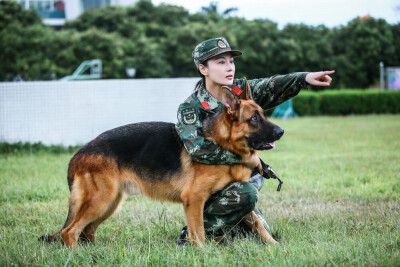 张馨予 奇兵神犬