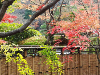 京都