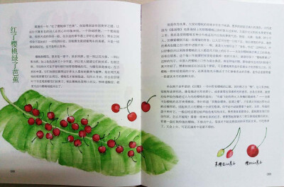 节气手帖(蔓玫的花花朵朵) 蔓玫