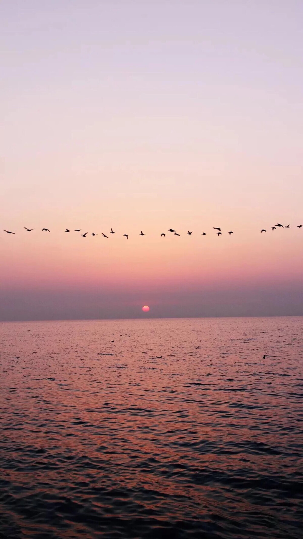 手机壁纸 简约壁纸 大海 夜幕 落日