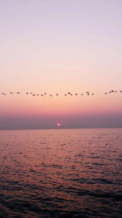 手机壁纸 简约壁纸 大海 夜幕 落日