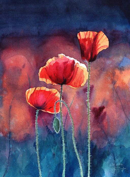 Poppy... by Takir on deviantART