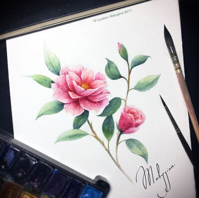 Flower Power : My watercolor's illustrations of flowers from botanical painting class