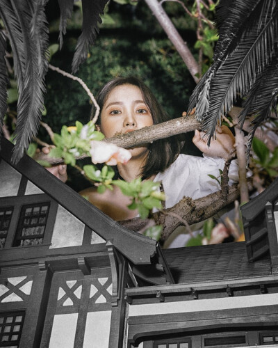 RedVelvet yeri金艺琳
Peek A Boo