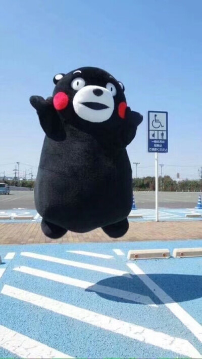 kumamon