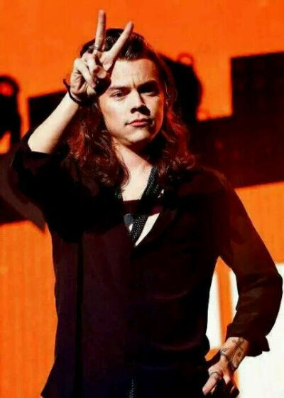 harry styles