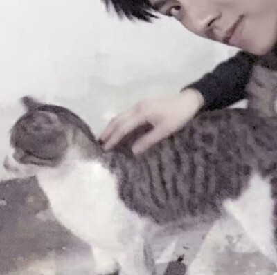 #Kylo情头#“我想有一天 你做饭 我捣乱”