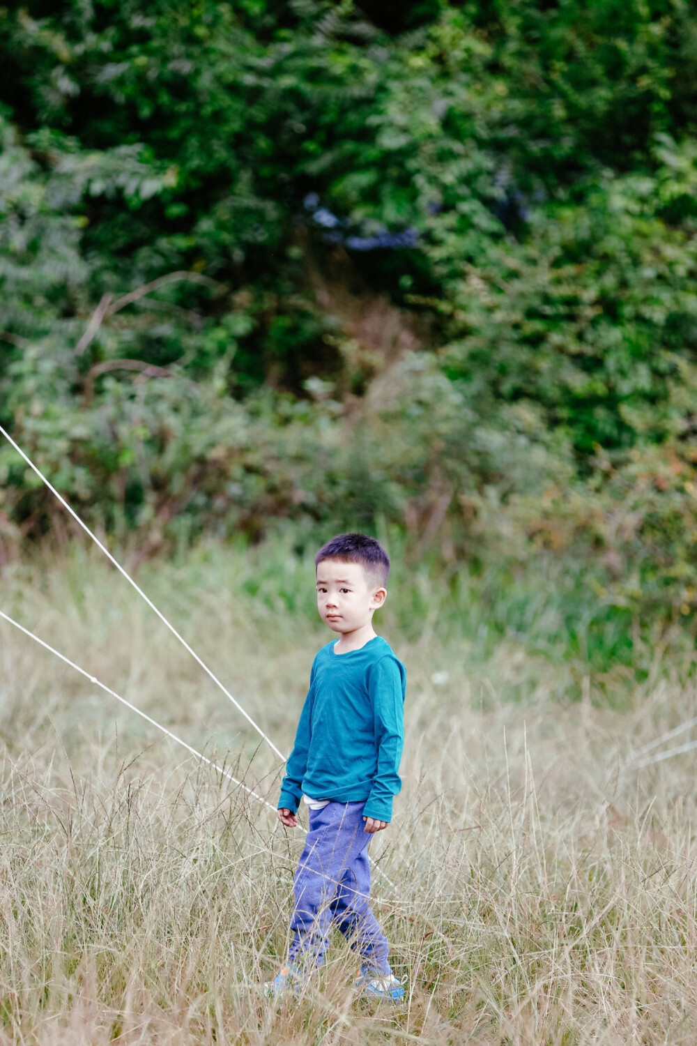 小小春