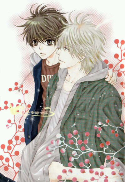 SUPER LOVERS!!