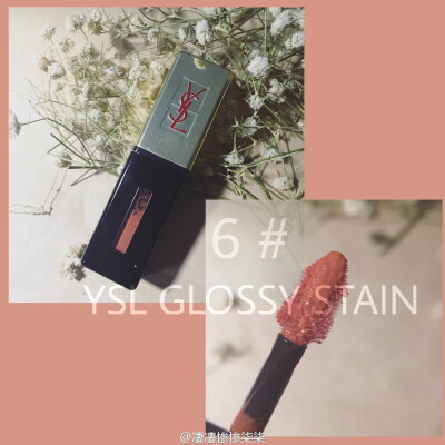 ysl6