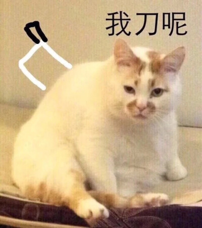 我刀呢