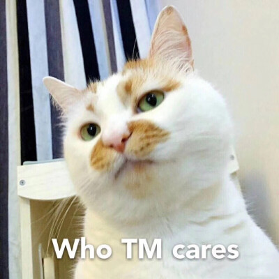 who TM cares