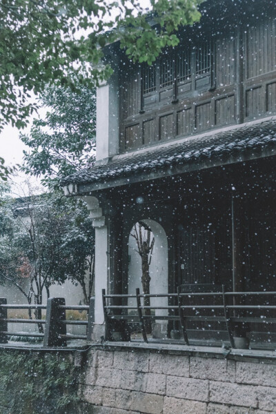 中国书画诗词院#春有百花秋有月，夏有凉风冬有雪 若无闲事挂心头，便是人间好时节。