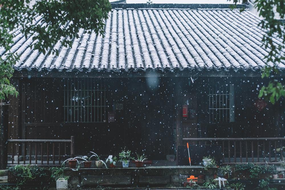 中国书画诗词院#春有百花秋有月，夏有凉风冬有雪 若无闲事挂心头，便是人间好时节。