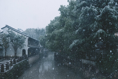 中国书画诗词院#春有百花秋有月，夏有凉风冬有雪 若无闲事挂心头，便是人间好时节。