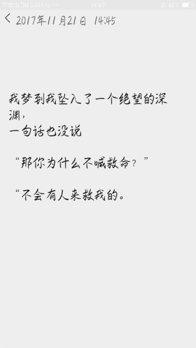 我梦到我坠入了一个绝望的深渊，
一句话也没说
“那你为什么不喊救命？”
“不会有人来救我的。