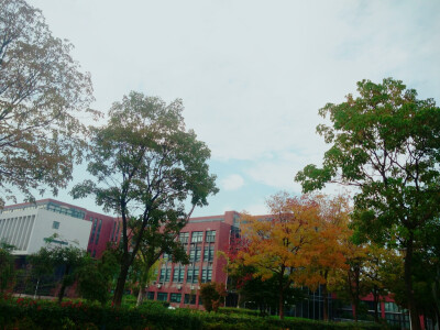 学校