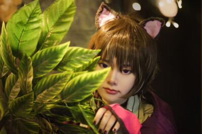 搬运搬运 柴郡猫cos cn：雨卿酱