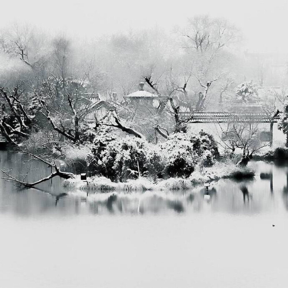 三百年，窃我容华覆以霜雪。长歌报蹉跎，笑对荒野孤月。——《愿以百年挽朝夕》