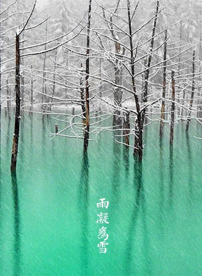 【中国节气：小雪】虹藏不见，地寒未甚。雨凝為雪，初成霰点。菊残傲霜，霏雪压松。烹雪品茶，围炉温酒，暖房好睡。《月令七十二候集解》曰：十月中，雨下而为寒气所薄，故凝而为雪。小者未盛之辞。