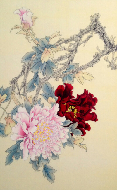 工笔画牡丹