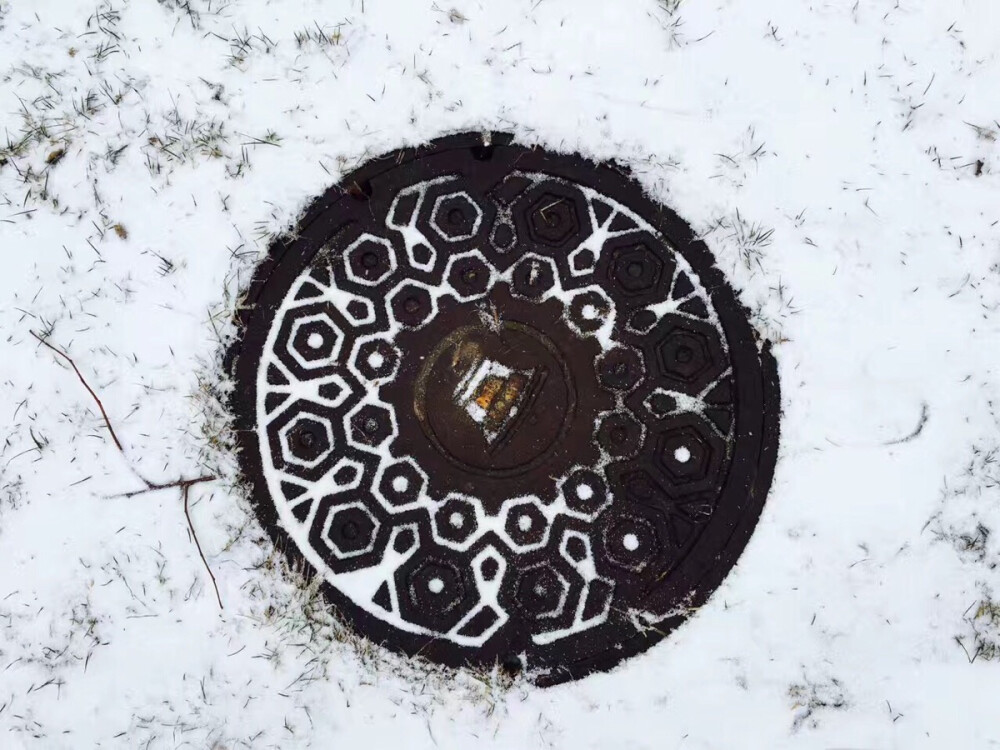 雪盖奥利奥(ˊᵒ̴̶̷̤ꇴᵒ̴̶̷̤ˋ)꒰
坐标加拿大
原创