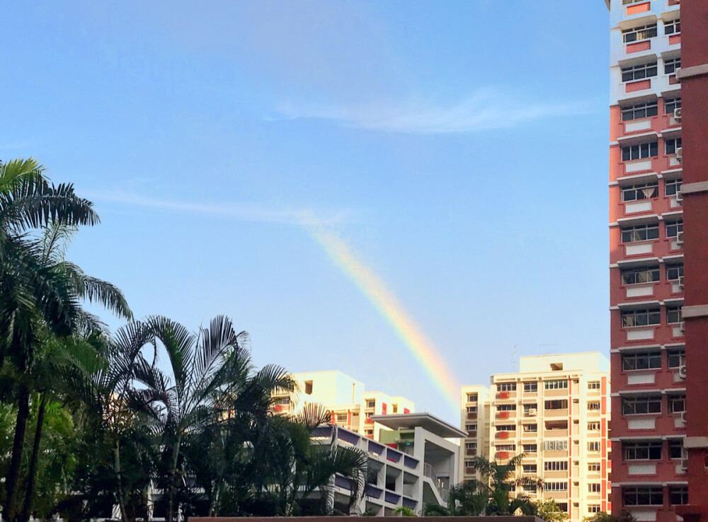 雨后彩虹