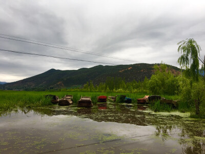 泸沽湖