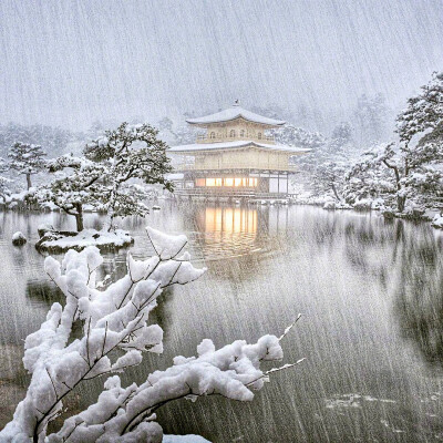 今年冬天想要看一场大雪