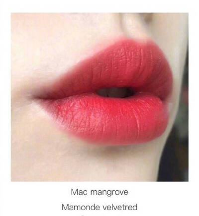 Mac mangrove