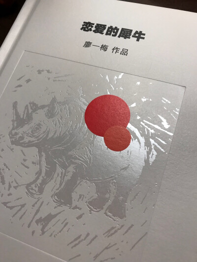 恋爱的犀牛