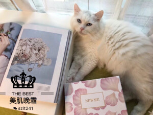  关于使用晚霜，我自己的小心得

祛痘，是晚霜的效果之一成分中的白芷促进了肌肤的新陈代谢，粉刺 痤疮 青春痘 都可以完美解决。而成分中的冷觉给皮肤带来一点点的清凉，对痘痘也有消炎的作用。