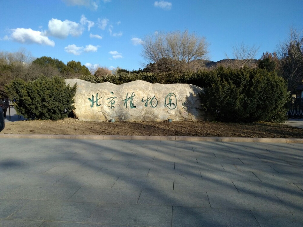 北京植物园＆曹雪芹纪念馆秋游研学
11月22号，我们三十九中的高一全体学生前往香山脚下的北京植物园和园内的曹雪芹纪念馆秋游并进行研学活动，我们高一全体学生不仅玩得很开心，从中学到了一些植物的知识和曹雪芹的相关知识，还体会到了研学的快乐。