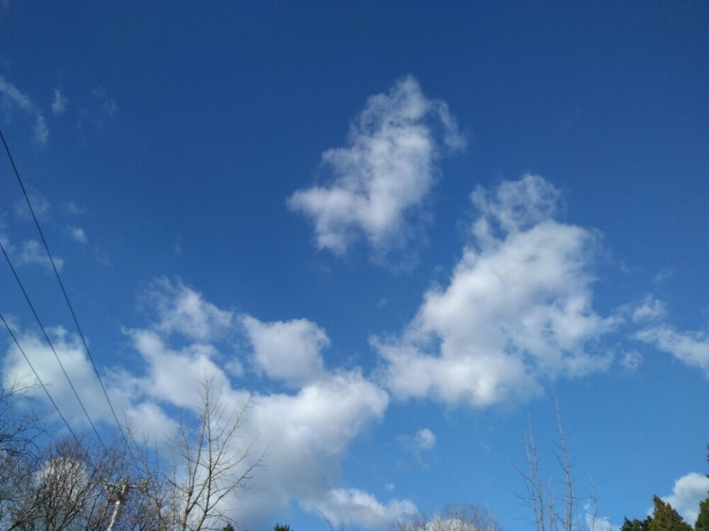 北京植物园＆曹雪芹纪念馆秋游研学
11月22号，我们三十九中的高一全体学生前往香山脚下的北京植物园和园内的曹雪芹纪念馆秋游并进行研学活动，我们高一全体学生不仅玩得很开心，从中学到了一些植物的知识和曹雪芹的相关知识，还体会到了研学的快乐。