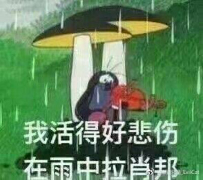 天官赐福 国债花怜 骨折双玄 血雨探花/花三怂 太子谢怜 青鬼戚容 转自微博，具体微博请见图下角标示/戚容 因为嘴贱被大家嫌弃的太子后援队长 青宝宝好多章没出来领盒饭，想它一下