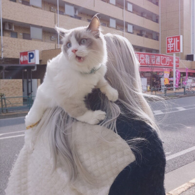 日系 原宿 喵星人 女生头像←_←