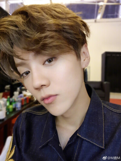 呆萌傻狍子 鹿晗 Luhan #壁纸 #头像