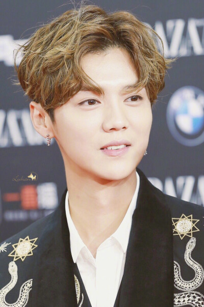 呆萌傻狍子 鹿晗 Luhan #壁纸 #头像