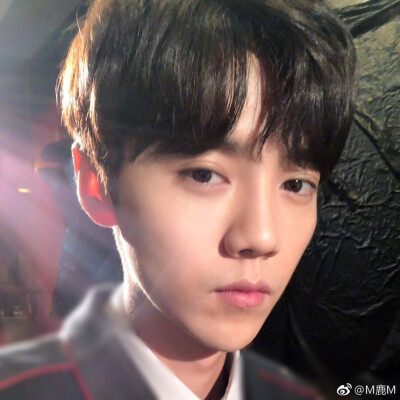 呆萌傻狍子 鹿晗 Luhan #壁纸 #头像