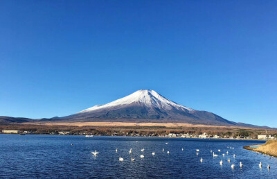 有时候，仰望未必是一件坏事。